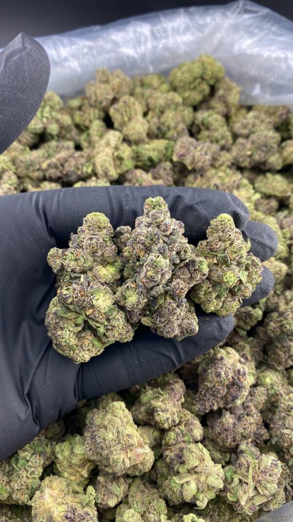 Bubblegum