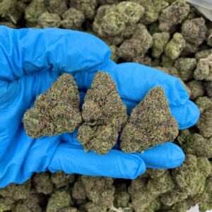 Cherry candy gelato strain for sale!