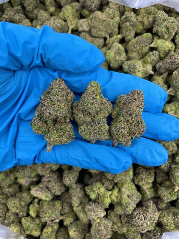 DIAMOND CANDY RUNTZ