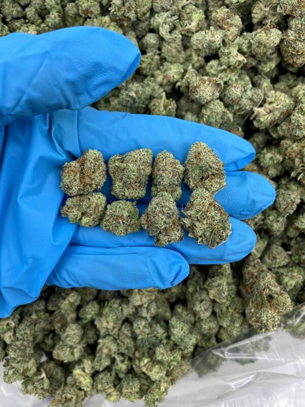 FROSTED ZKITTLE POPPERS