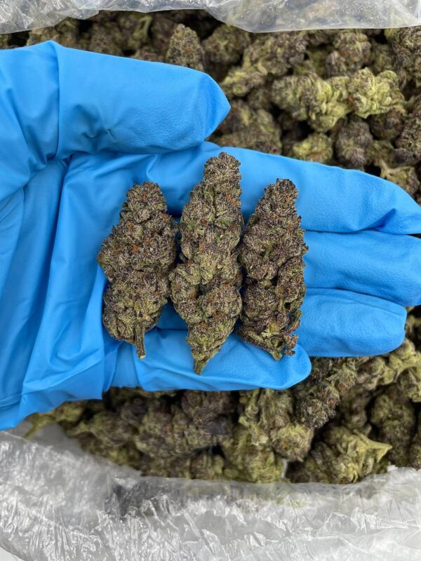 FROSTY GRAPE SUNDAE
