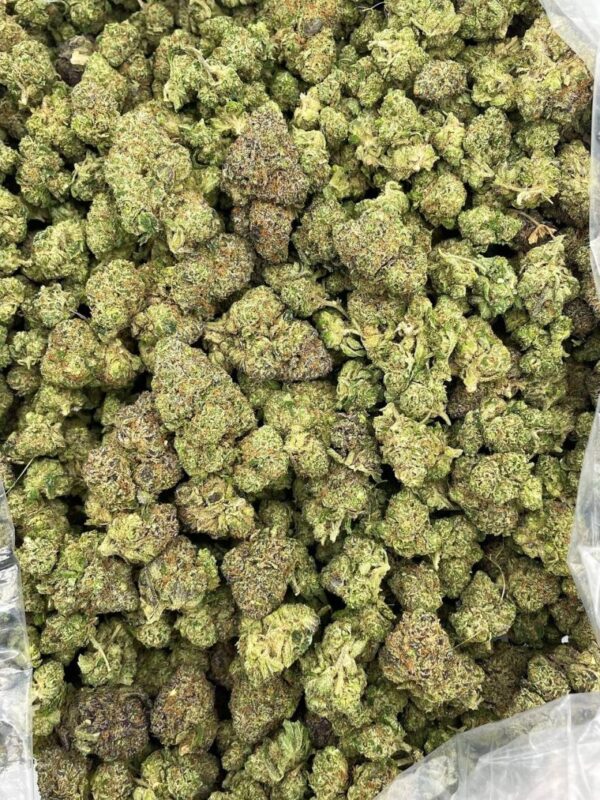 GRAPE CANDY GELATO STRAIN