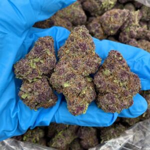 Ice Purple Nerdz – DCB307TC