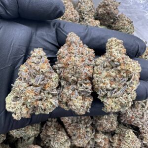 MCFROSTY – MC1120MF