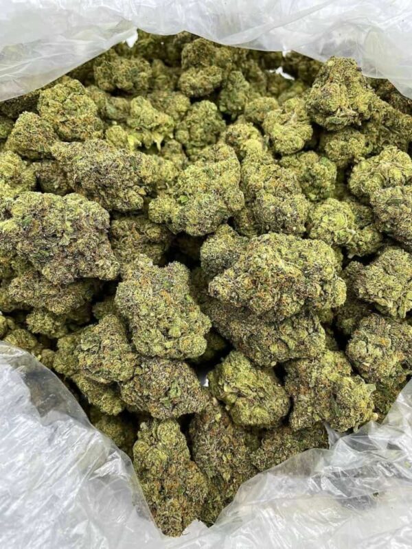 PURPLE CITRUS CRUSH