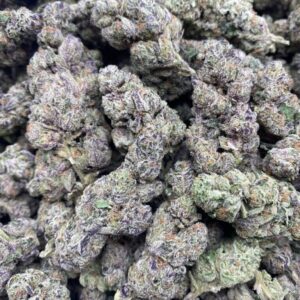 RS54 Strain –