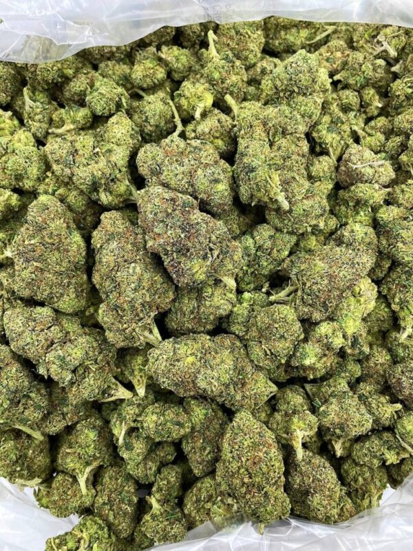 SKITTLEZ RANCHERS