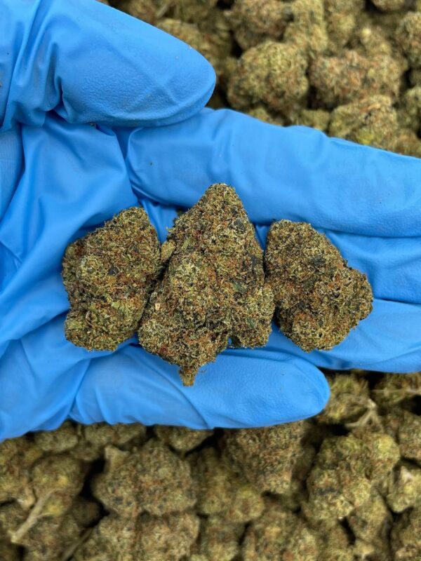 STRAWBERRY TART OG