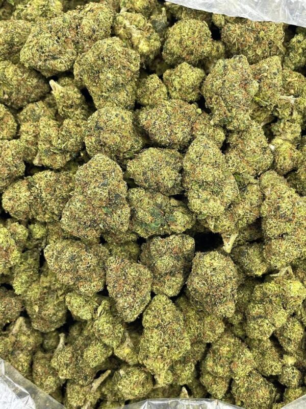 STRAWBERRY TART OG STRAIN