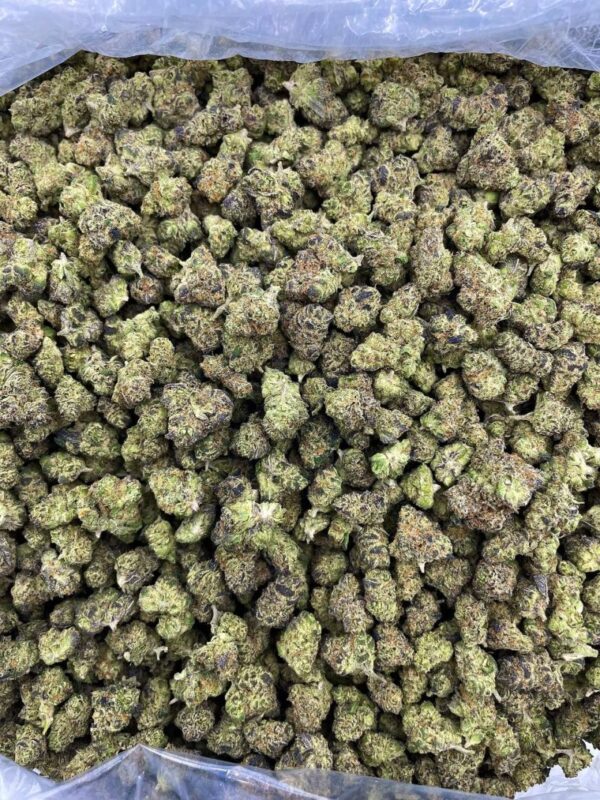 SUNDAE STARDUST STRAIN