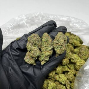 We offer the Slurricane strain for purchase.