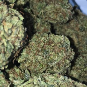 Sour Diesel –