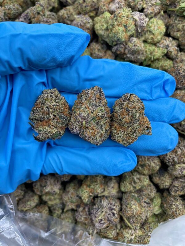ZKITTLES WIDOW