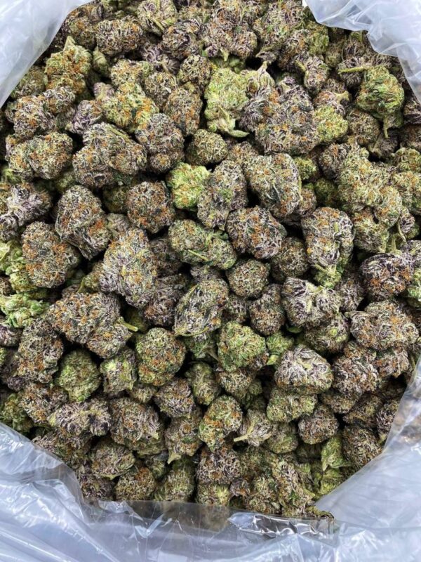 ZKITTLES WIDOW STRAIN
