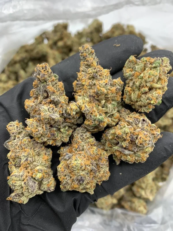 blue dream near me